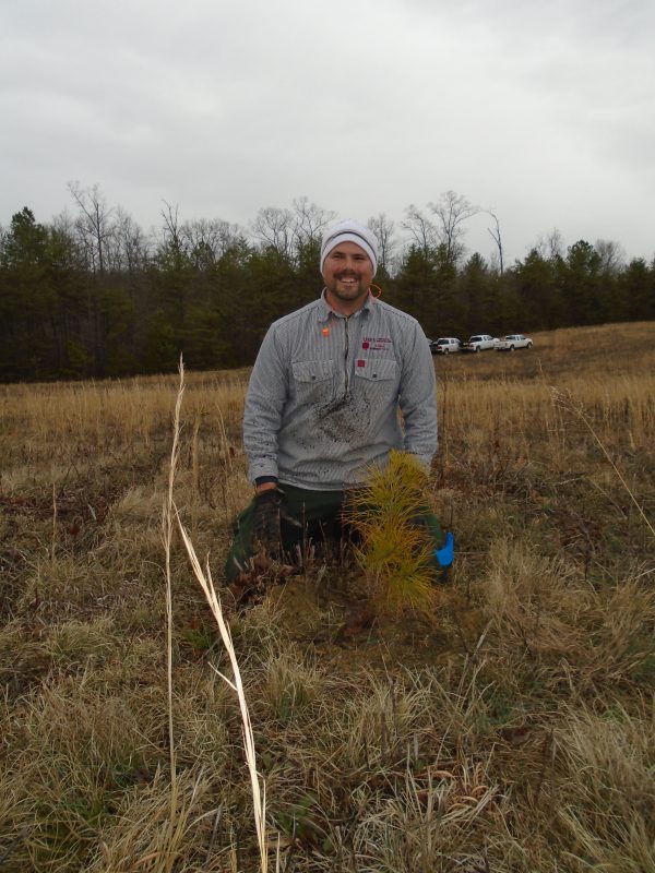 Jason Rodrigue with a newly planted Table Mountain Pine
